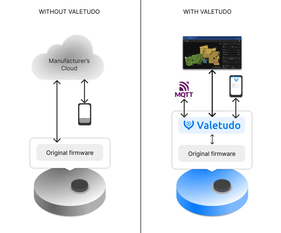 Valetudo